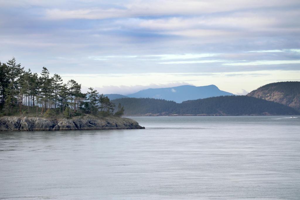 The Salish Sea